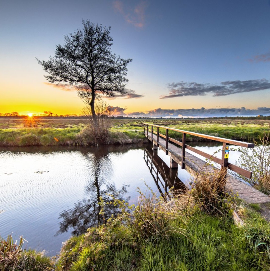 Sunrise over a tree and bridge on a winter day in Groningen, The Netherlands 